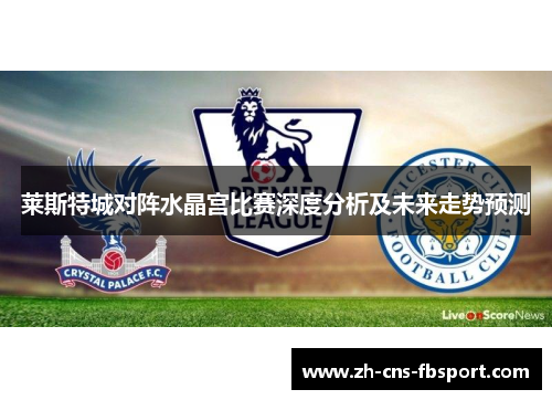莱斯特城对阵水晶宫比赛深度分析及未来走势预测 莱斯特城对阵水晶宫比赛深度分析及未来走势预测