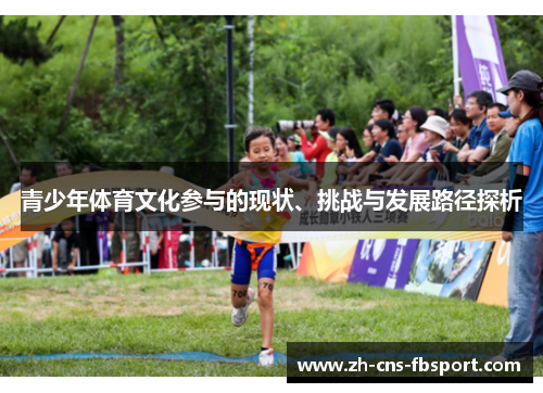 青少年体育文化参与的现状、挑战与发展路径探析