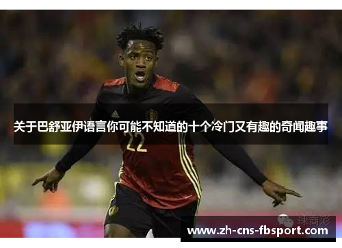 关于巴舒亚伊语言你可能不知道的十个冷门又有趣的奇闻趣事