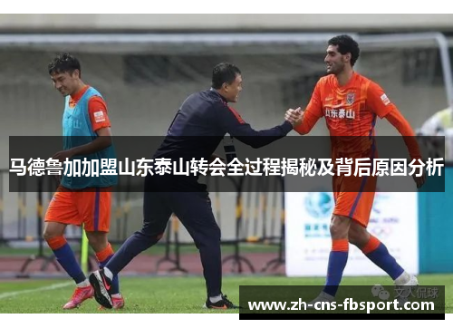 马德鲁加加盟山东泰山转会全过程揭秘及背后原因分析